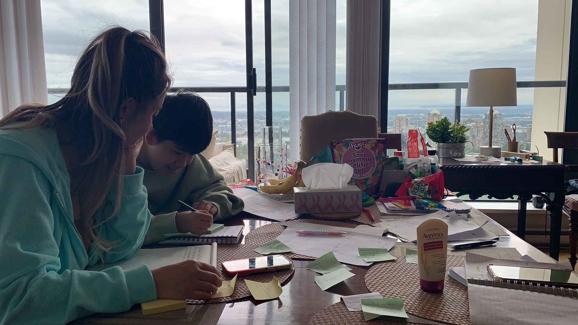 Education — homework and study sessions